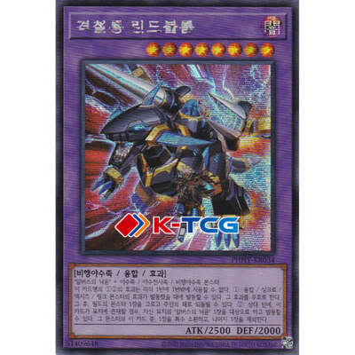 Yugioh Card 