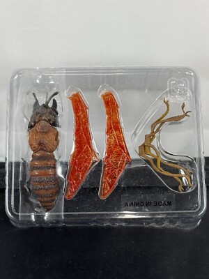 IWAKURA MURDEROUS POISONOUS INSECT Red Wings Genocide War 1968 Toho WITH BOX-image
