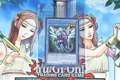 Yugioh Paladin of Photon Dragon LVAL-EN045 1st Edition Rare-image
