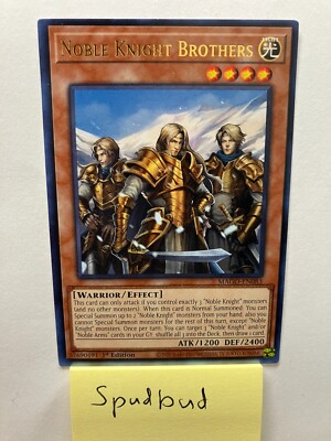 Noble Knight Brothers Rare MAGO-EN083 (Near Mint 1st Edition)-image